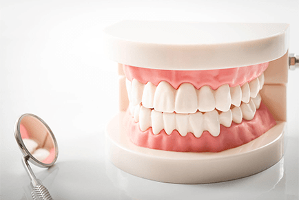 Dentist fitting dentures for a patient